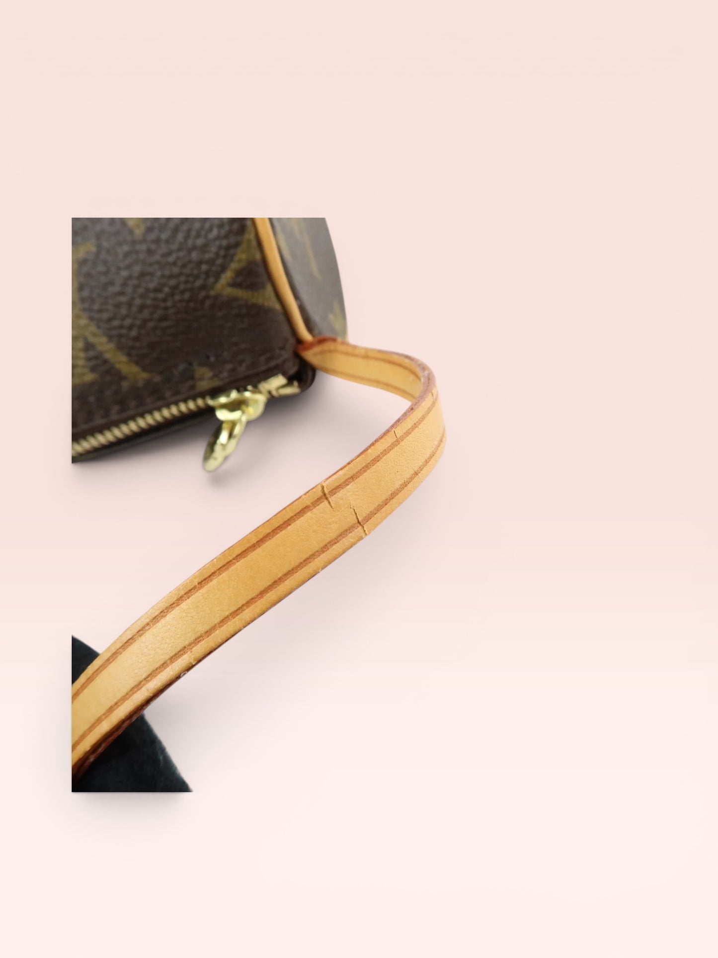 Louis Vuitton Monogram Canvas Mini Papillon Pouch