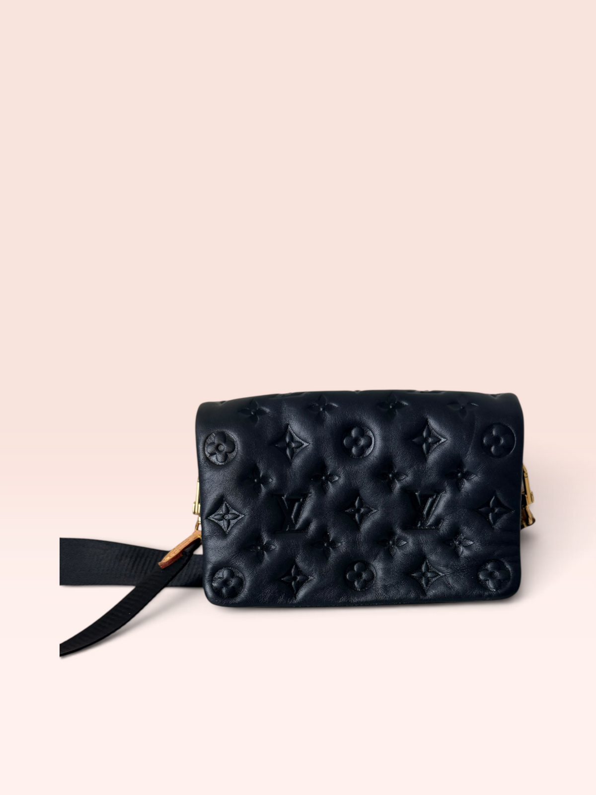 Louis Vuitton Soft Lambskin Pochette Coussin Microchipped