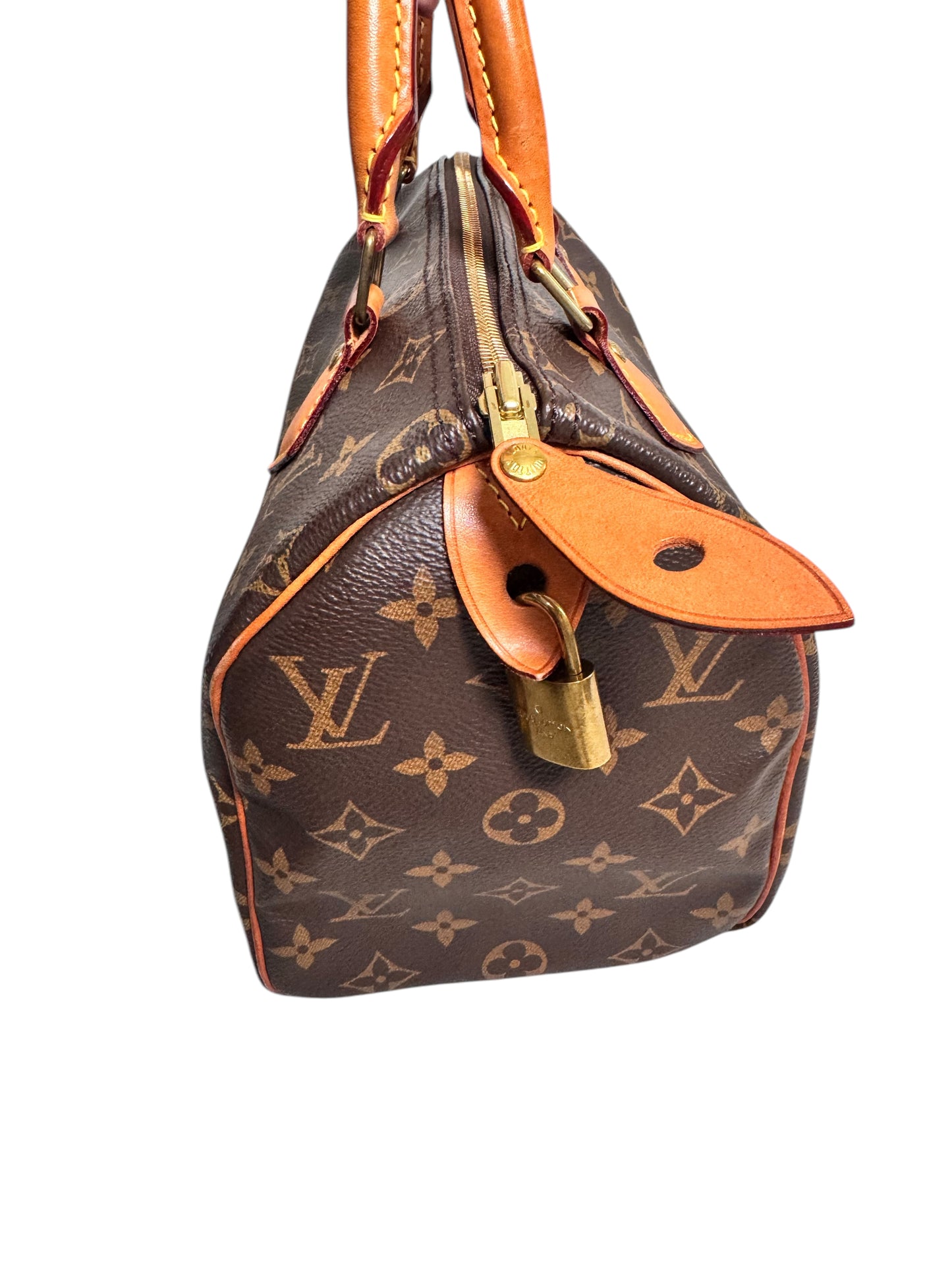 Louis Vuitton Monogram 2019 Canvas Speedy 25