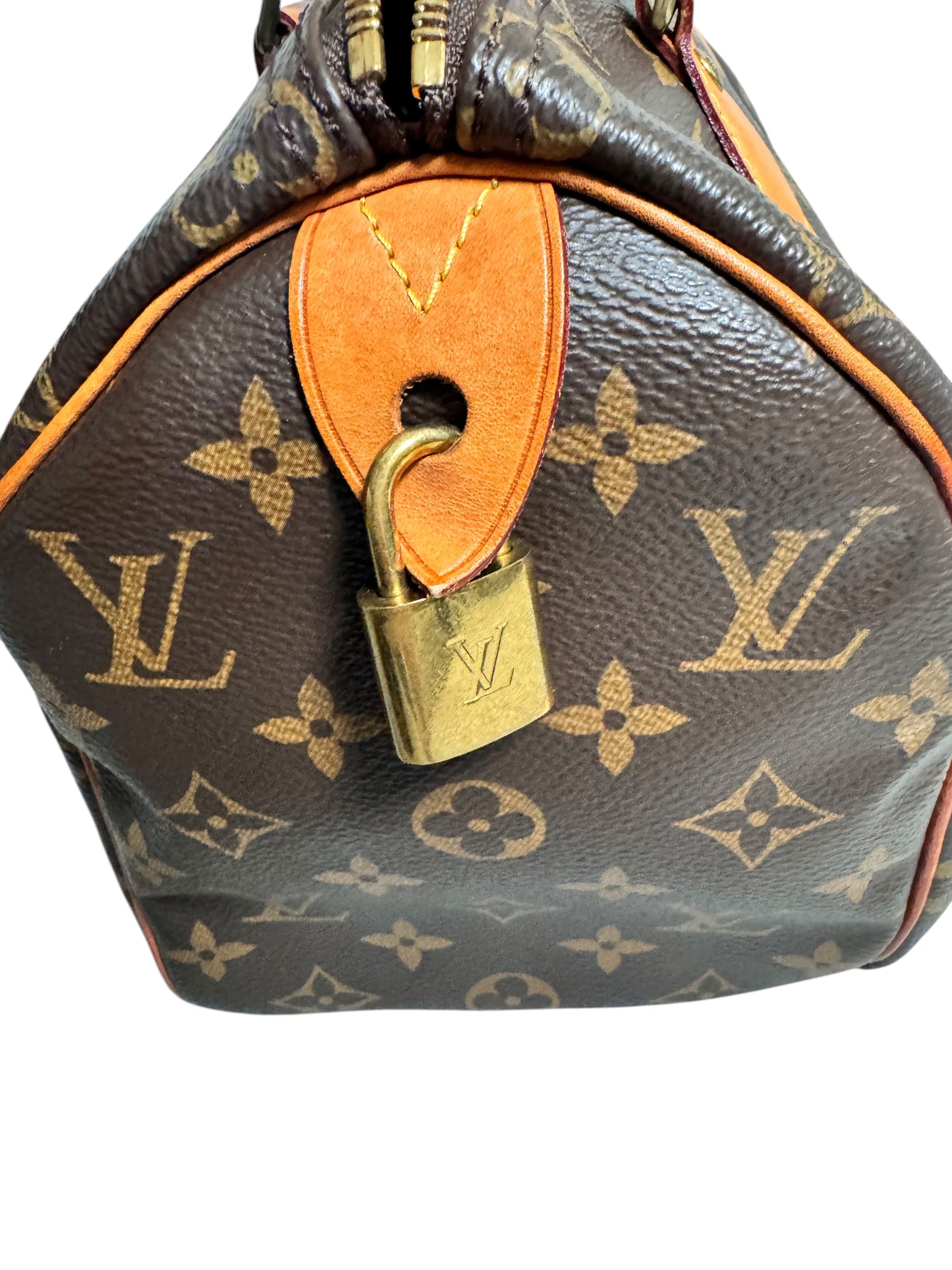 Louis Vuitton Monogram 2019 Canvas Speedy 25