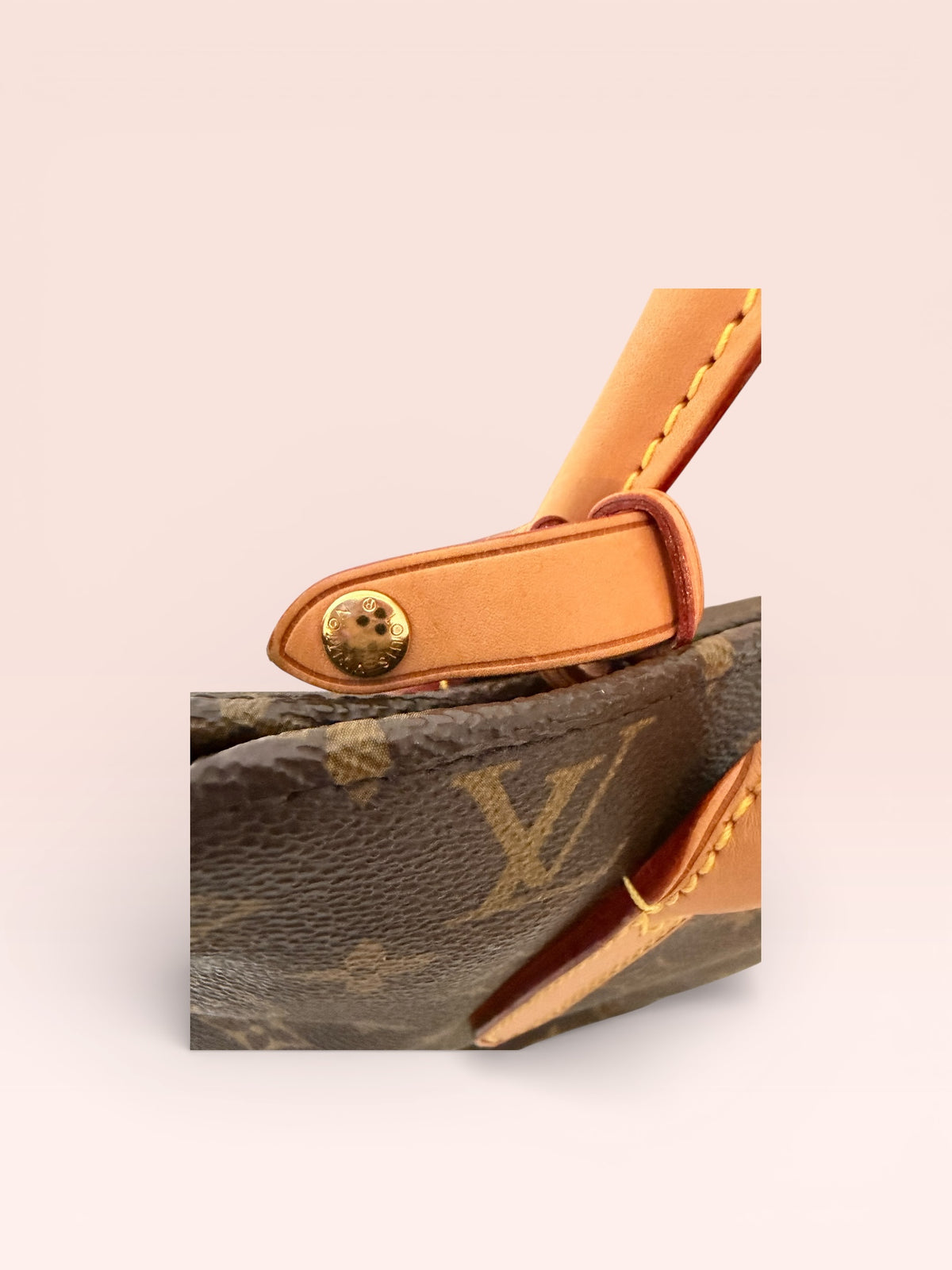Louis Vuitton Monogram CANVAS Raspail PM tote bag 2012