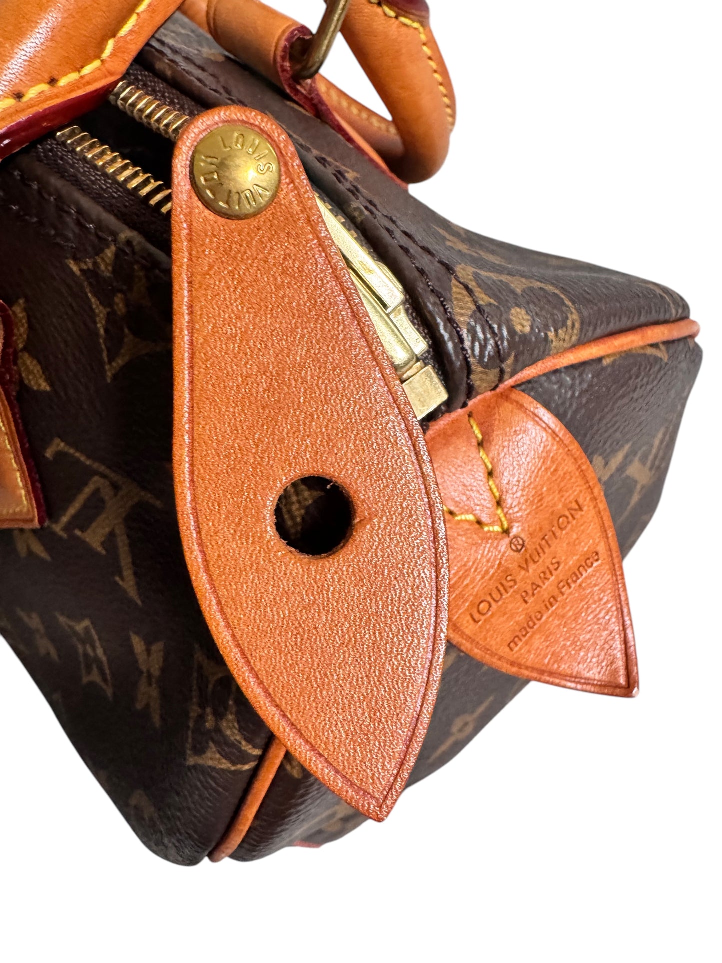 Louis Vuitton Monogram 2019 Canvas Speedy 25