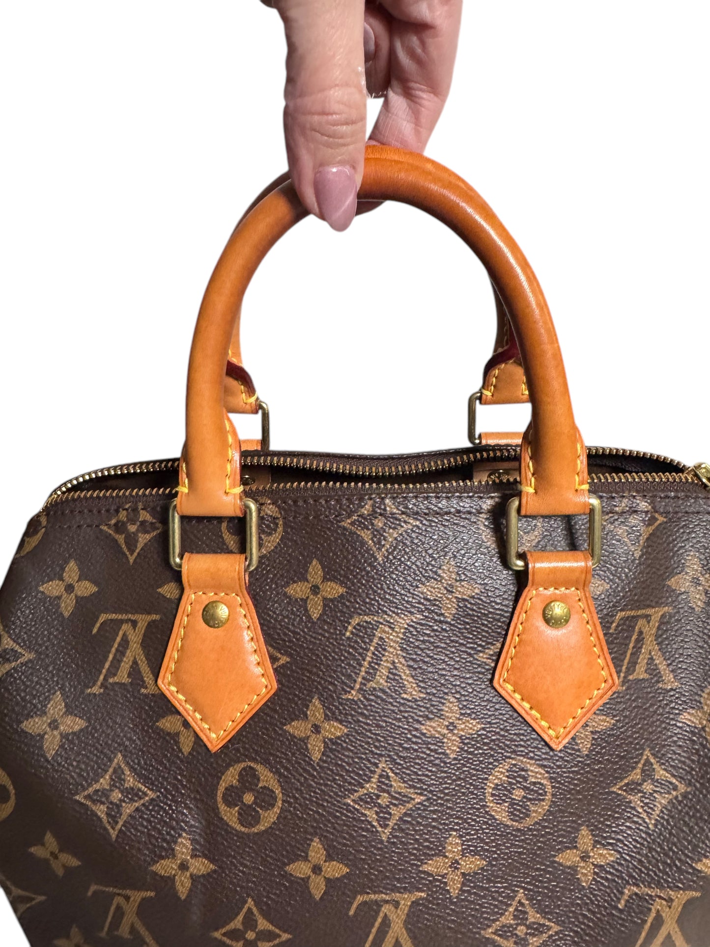 Louis Vuitton Monogram 2019 Canvas Speedy 25