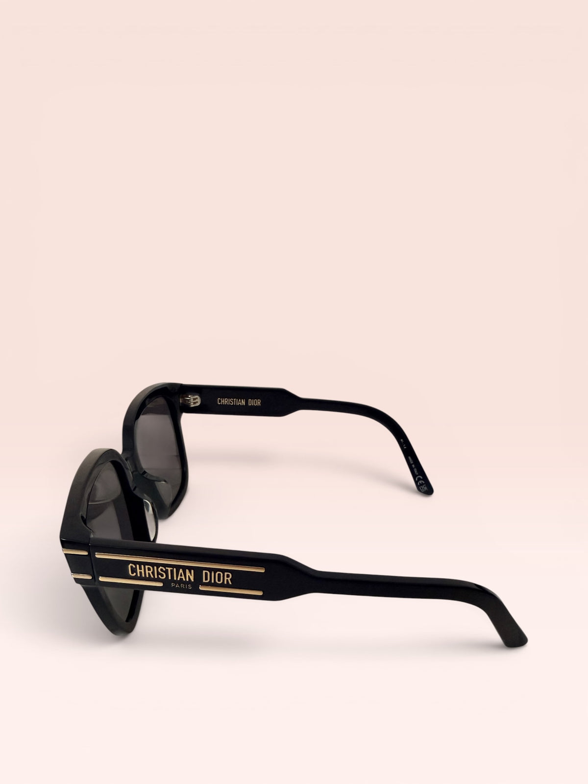 Christian Dior DiorSignature Sunglasses 67F