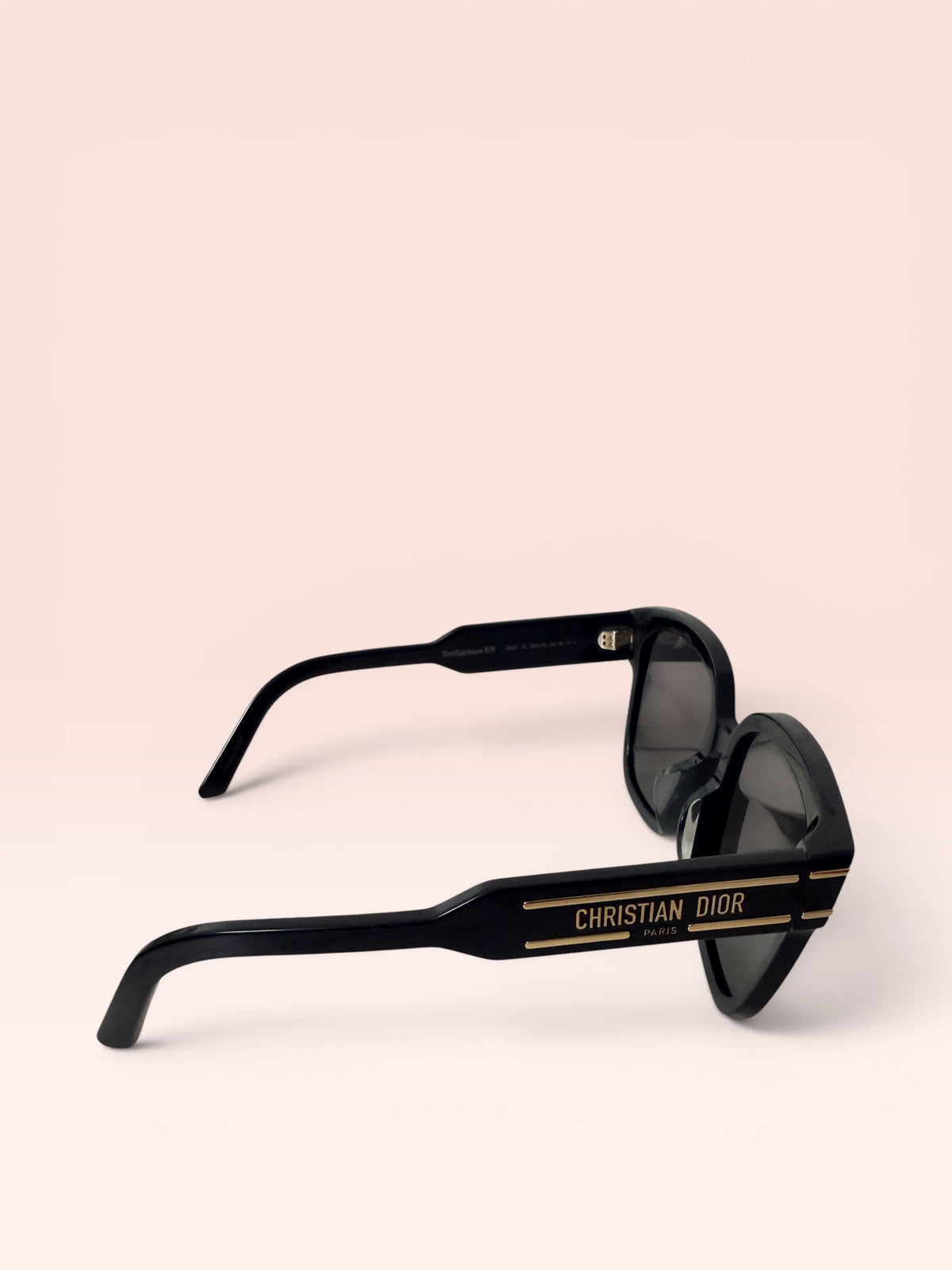 Christian Dior DiorSignature Sunglasses 67F