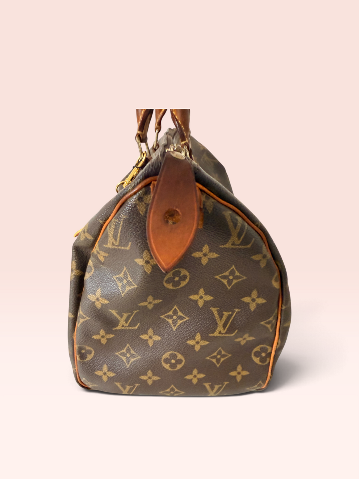 Louis Vuitton Canvas Tote Bags Monogram Speedy 30 2001