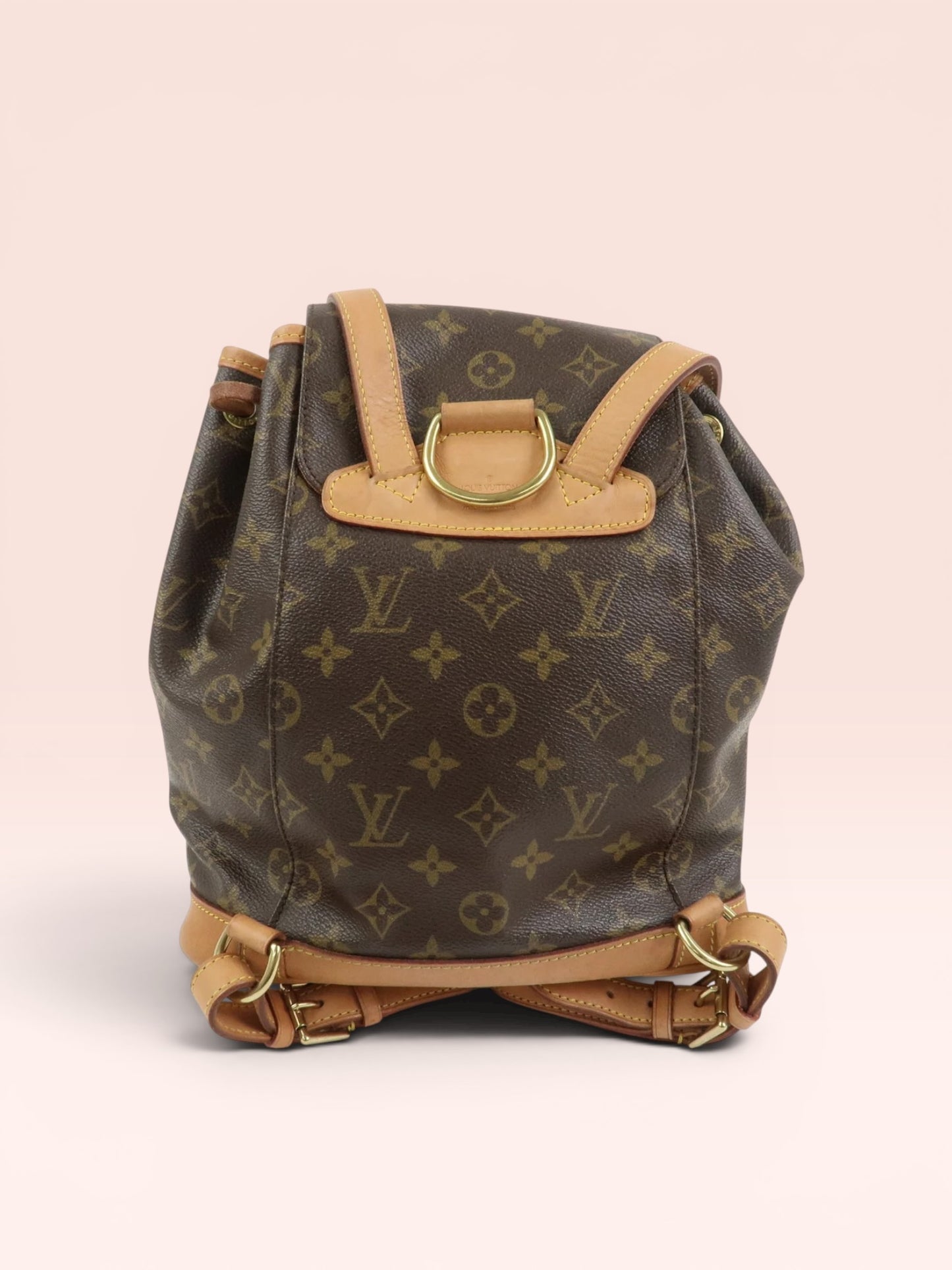 Louis Vuitton Monogram Canvas  Montsouris Backpack MM 2000