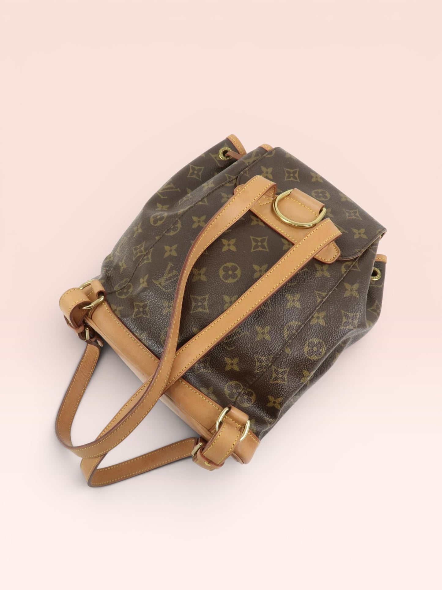Louis Vuitton Monogram Canvas  Montsouris Backpack MM 2000
