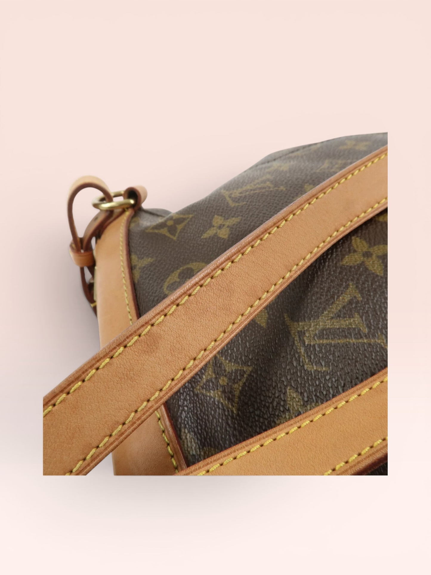 Louis Vuitton Monogram Canvas  Montsouris Backpack MM 2000