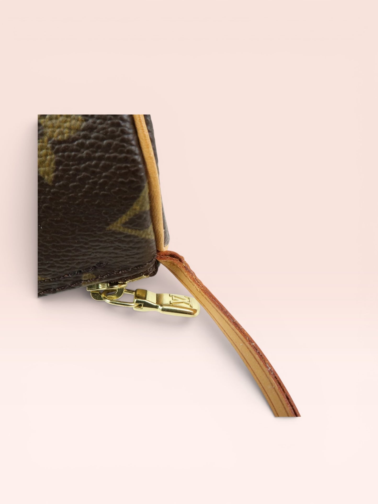 Louis Vuitton Monogram Canvas Mini Papillon Pouch