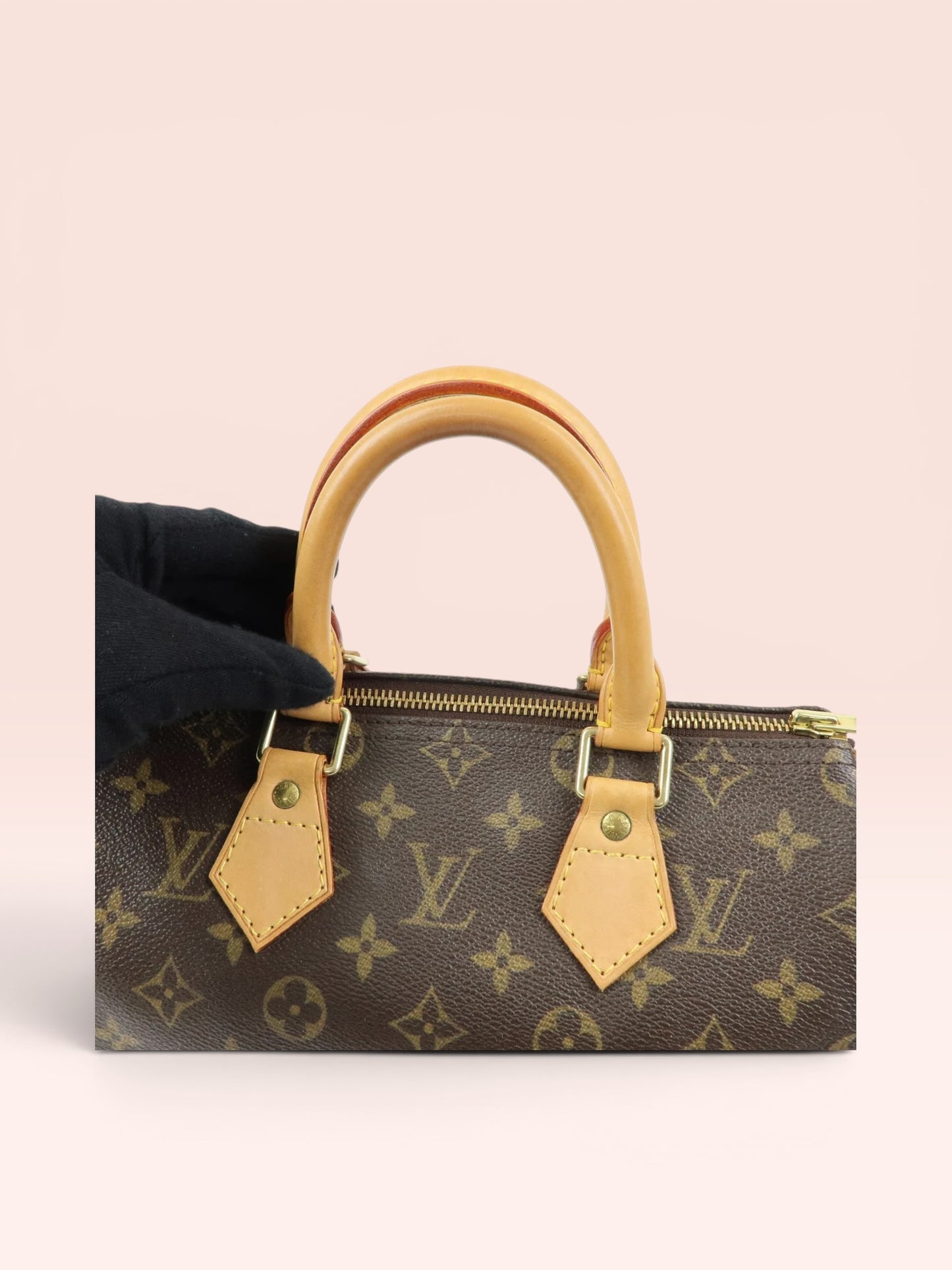 Louis Vuitton Monogram Canvas Speedy 25 2004