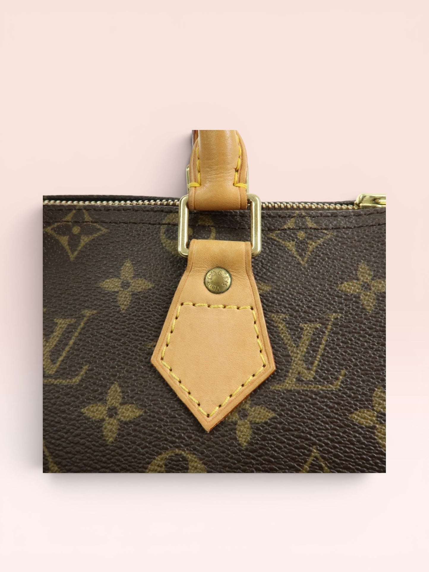 Louis Vuitton Monogram Canvas Speedy 25 2004