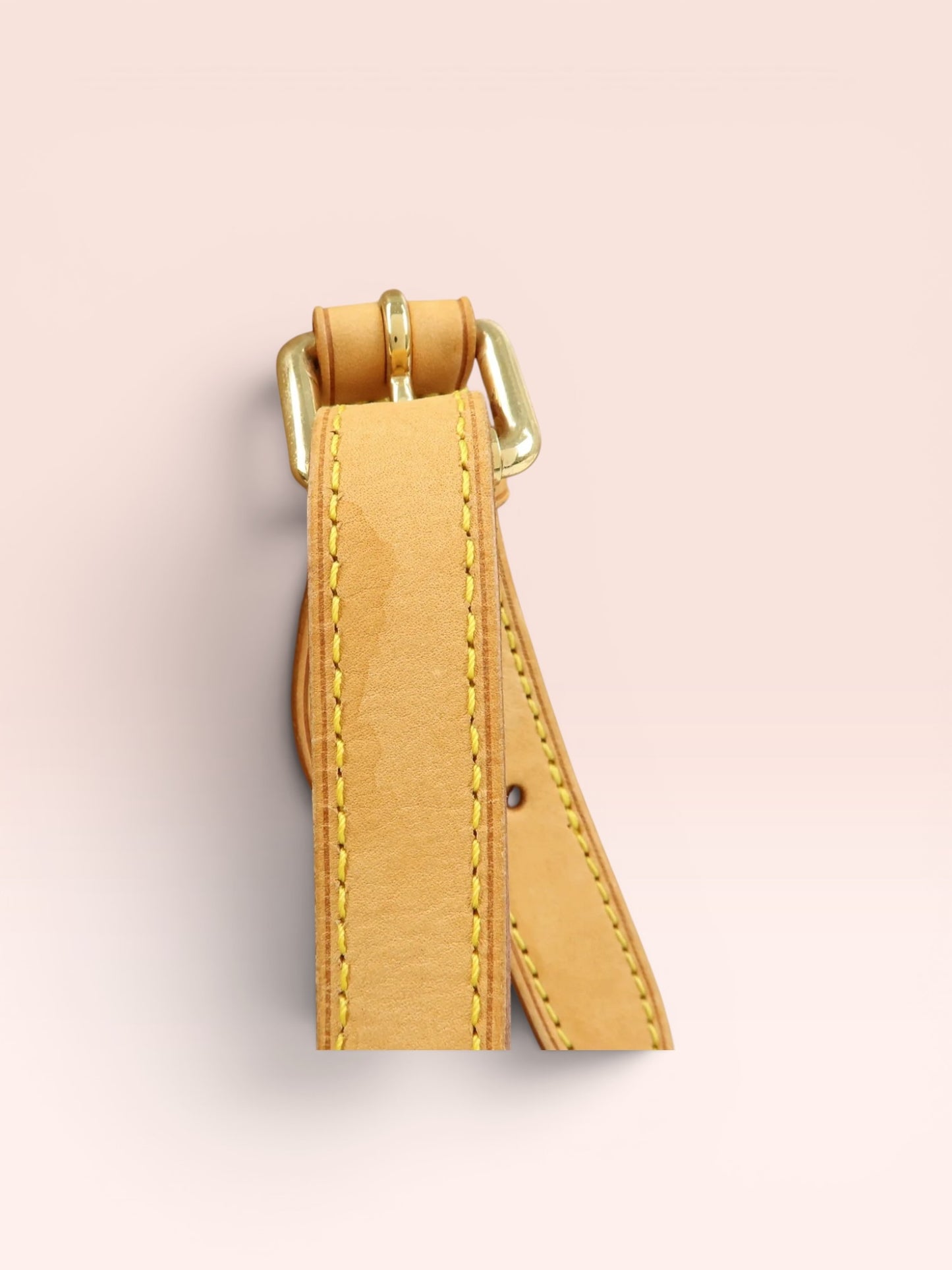 Louis Vuitton Monogram Vernis Brentwood Tote Bag (Noisette)