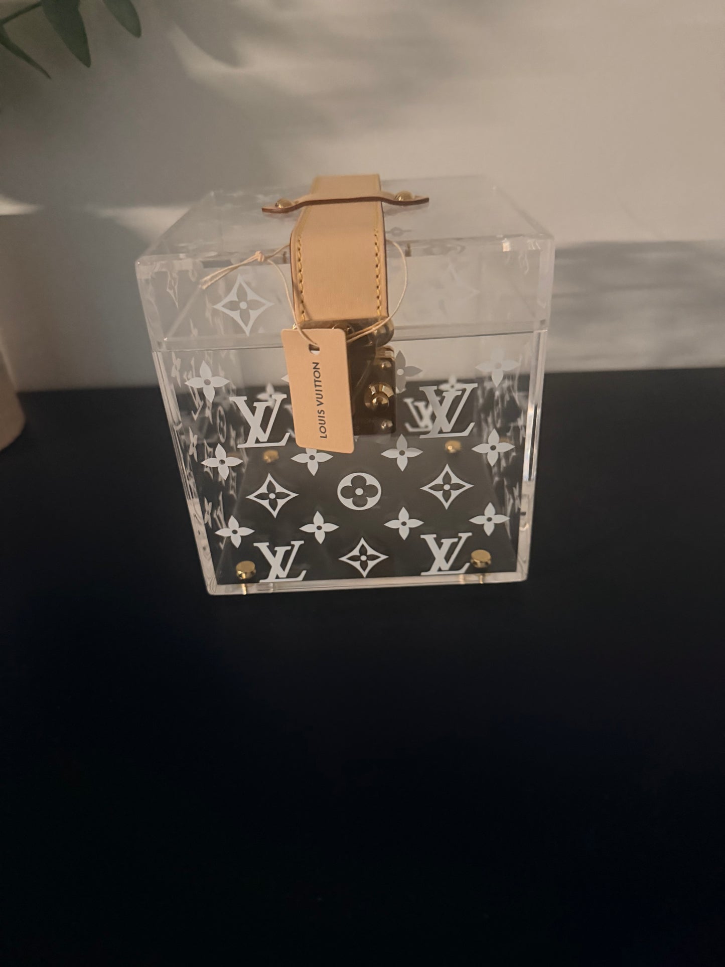 Louis Vuitton Transparent Plexiglass Scott Box