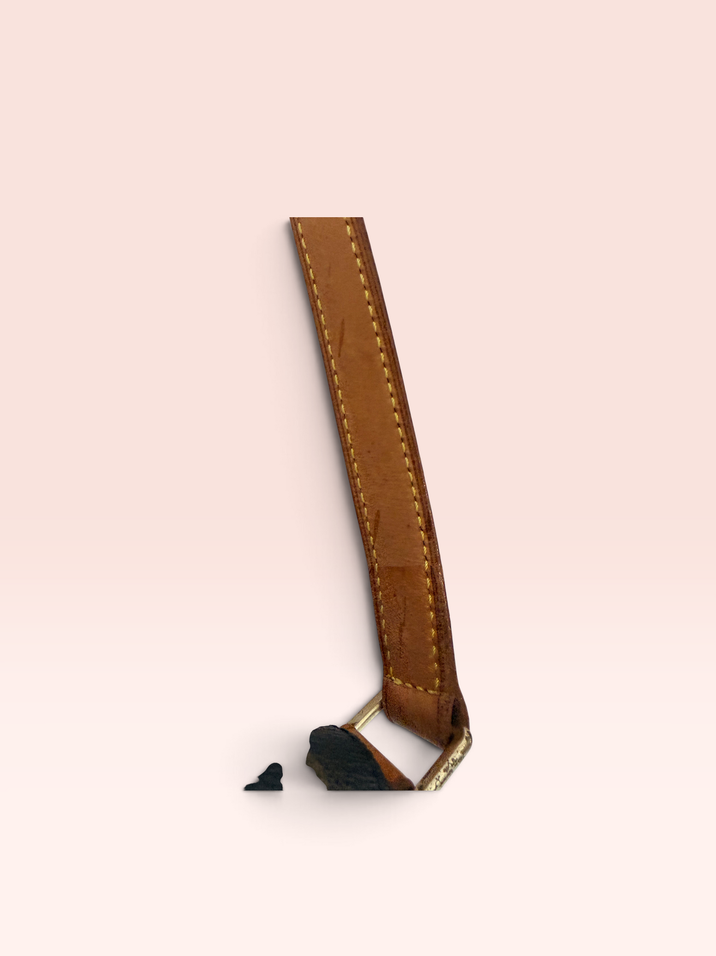 Louis Vuitton Musette Tango Shoulder Bag 2001