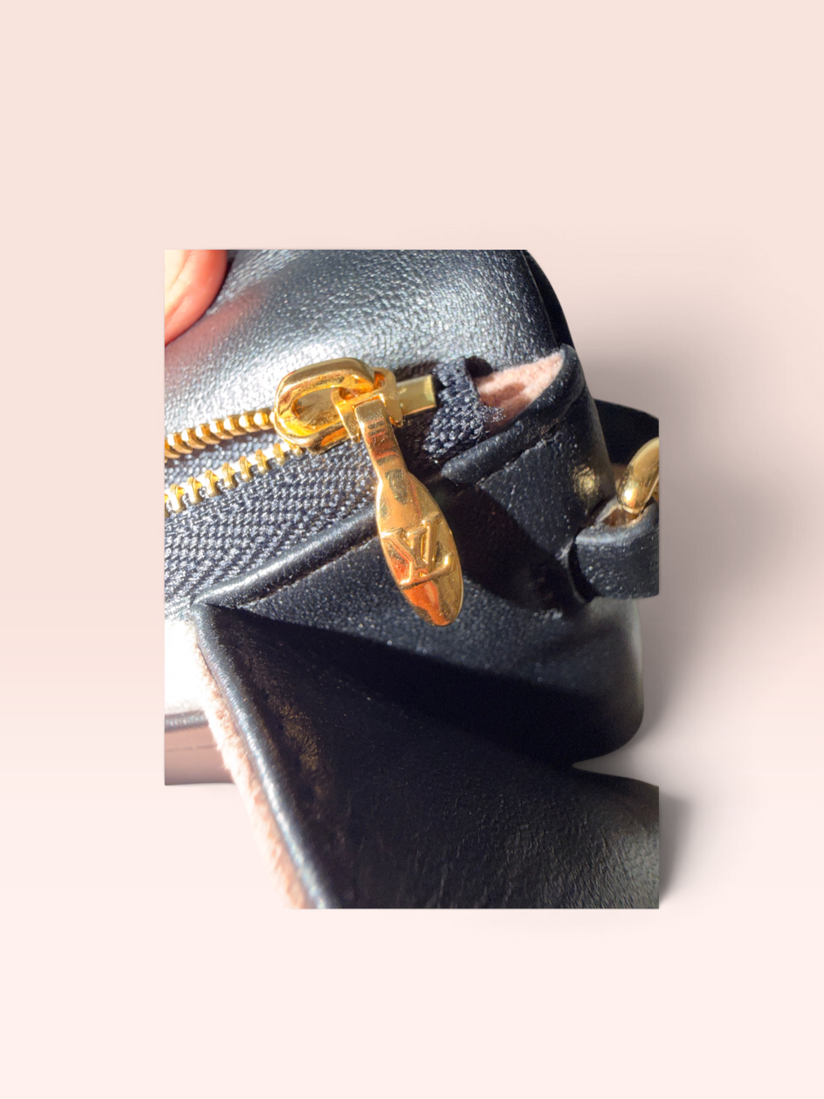 Louis Vuitton Soft Lambskin Pochette Coussin Microchipped