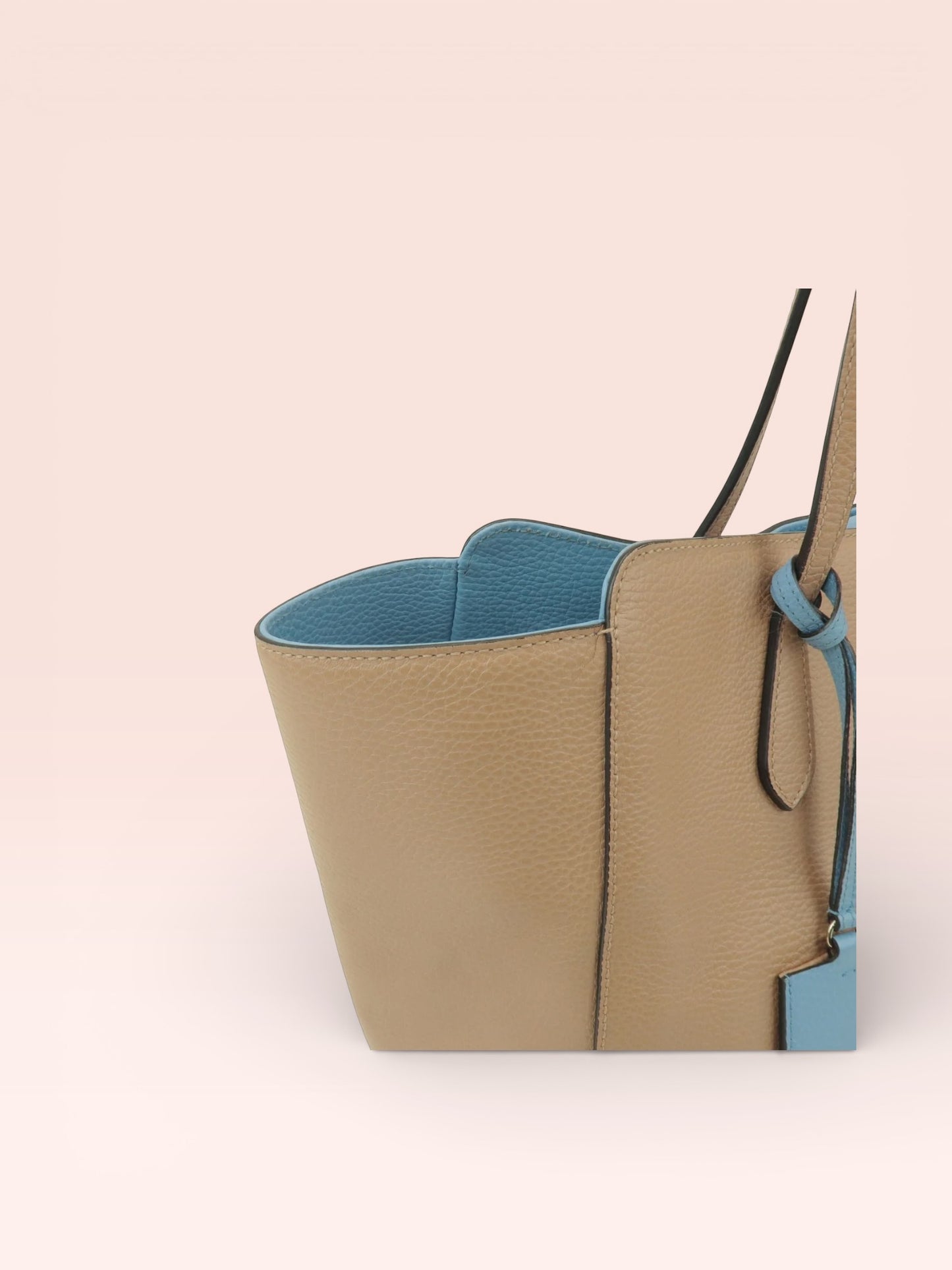 Gucci Leather Swing Tote Bag (Beige/Blue)