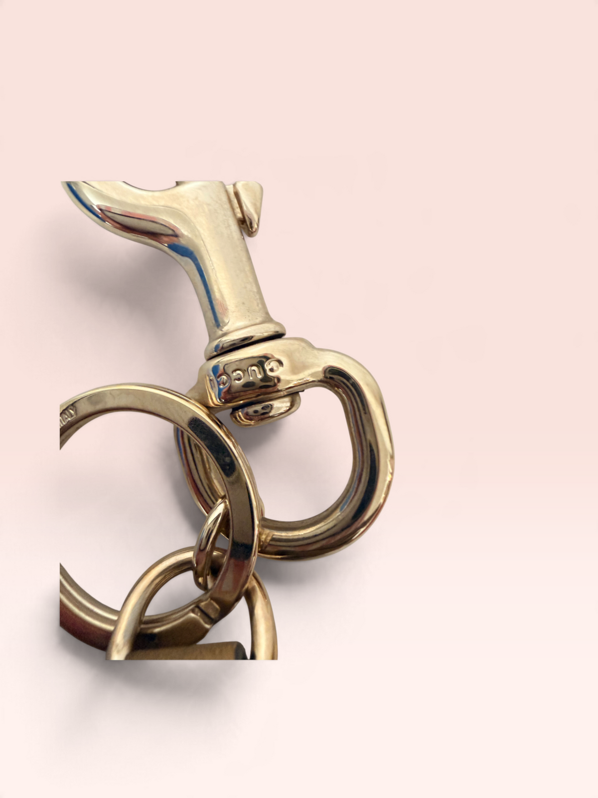 Gucci GG Canvas Guccioli Oliver Pug Charm (Full Set)