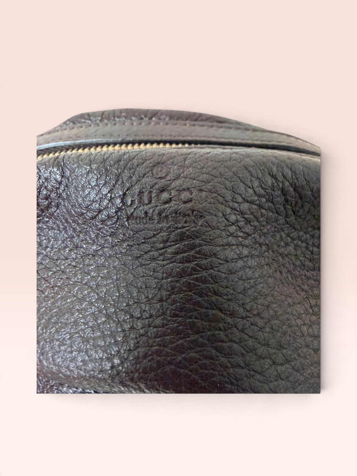 Gucci Grained Calfskin Bamboo Cosmetic Pouch (Dark Brown)