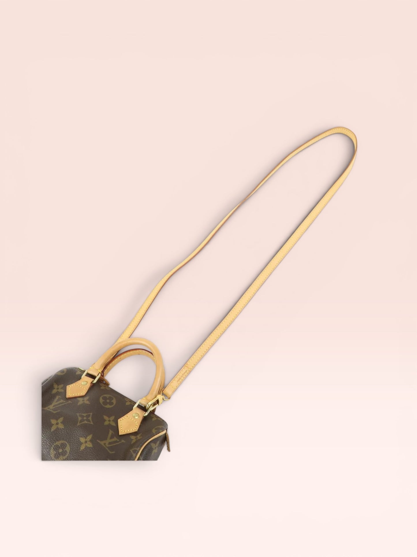 Louis Vuitton Monogram Canvas Mini Speedy w/ Strap 2000