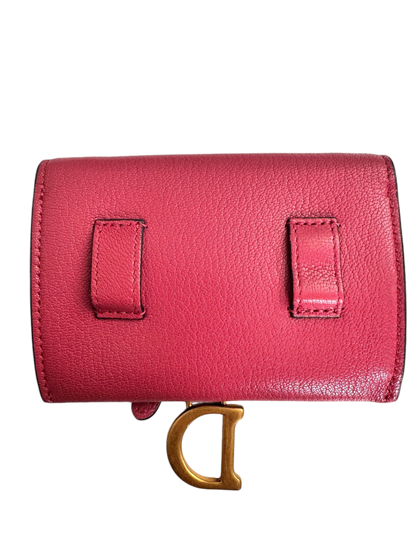 Christian Dior Saddle Nano Wallet/Pouch on a Chain Pink Leather